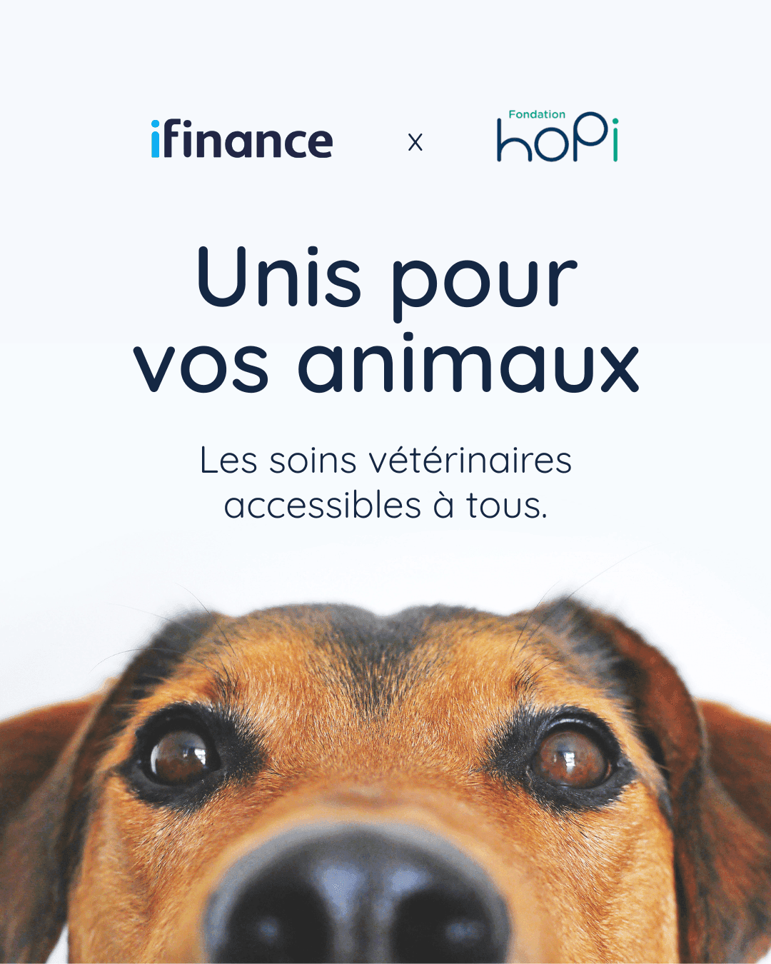 iFinance Petcard — Unis pour vos animaux